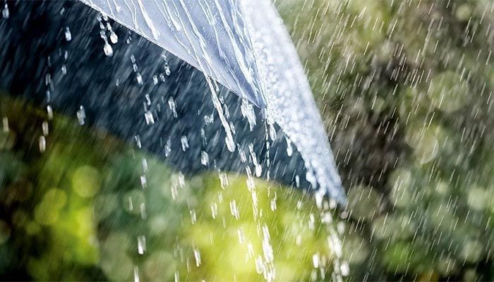 Rain With Gusty Wind Likely Over Country 