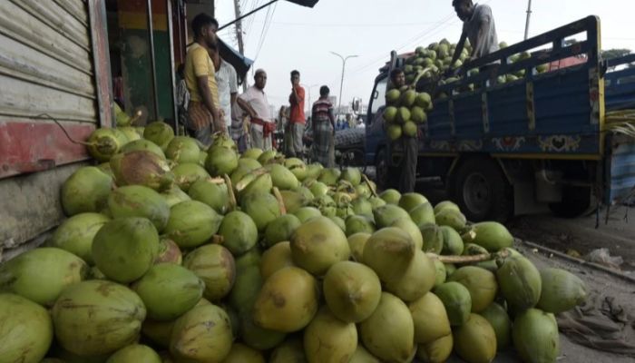 Green Coconut Price Goes Up Riding High Demand Amid Heat Wave 