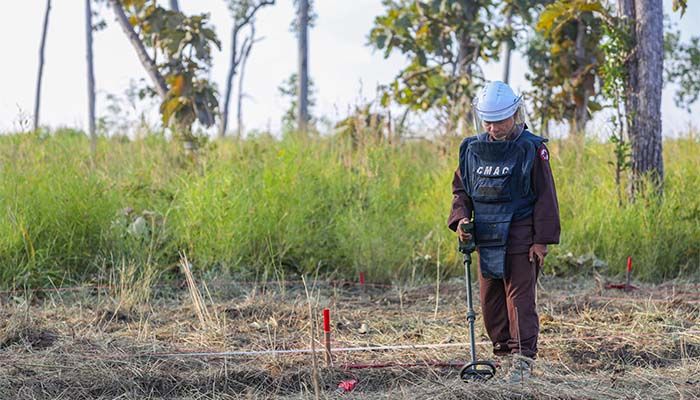 Cambodian Deminers Discover 3 Landmines Embedded In Tree Trunk