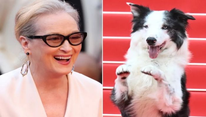 Cannes Film Festival Opens With Meryl Streep And Messi The Dog