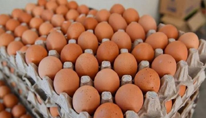 Egg Price Remains To Skyrocket