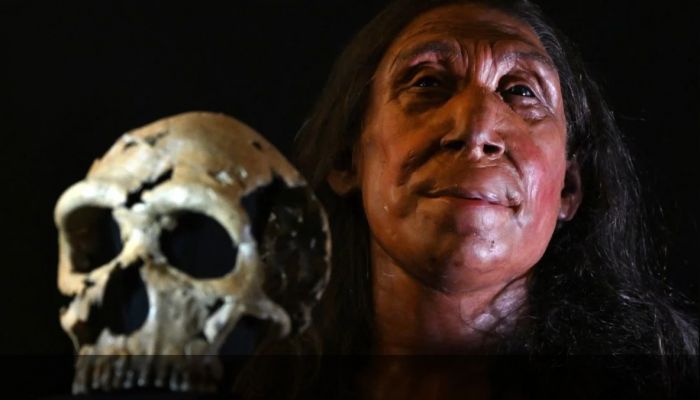 UK Researchers Unveil Face Of 75,000-Year-Old Neanderthal Woman